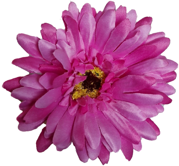 Gerbera - Afbeelding 4