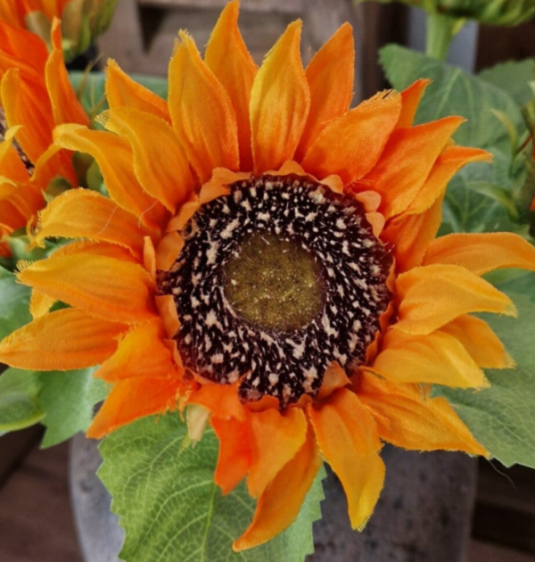 Zonnebloem luxe - Afbeelding 3