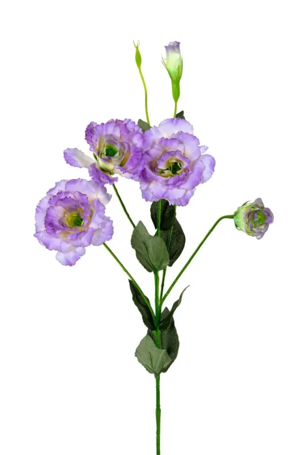 Lisianthus - Afbeelding 3