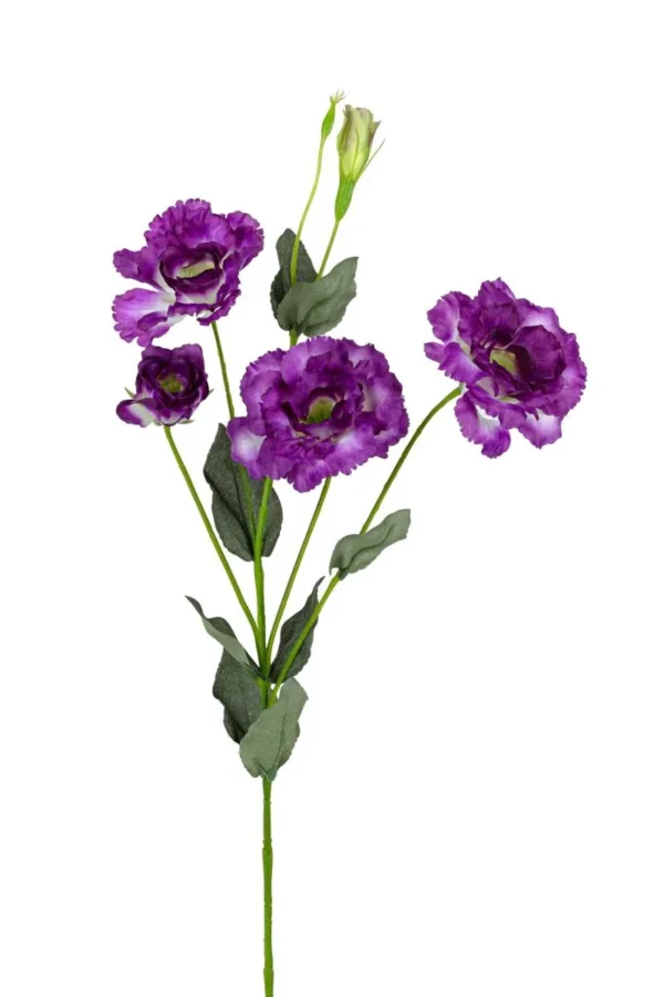 Lisianthus - Afbeelding 2