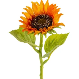 Zonnebloem luxe