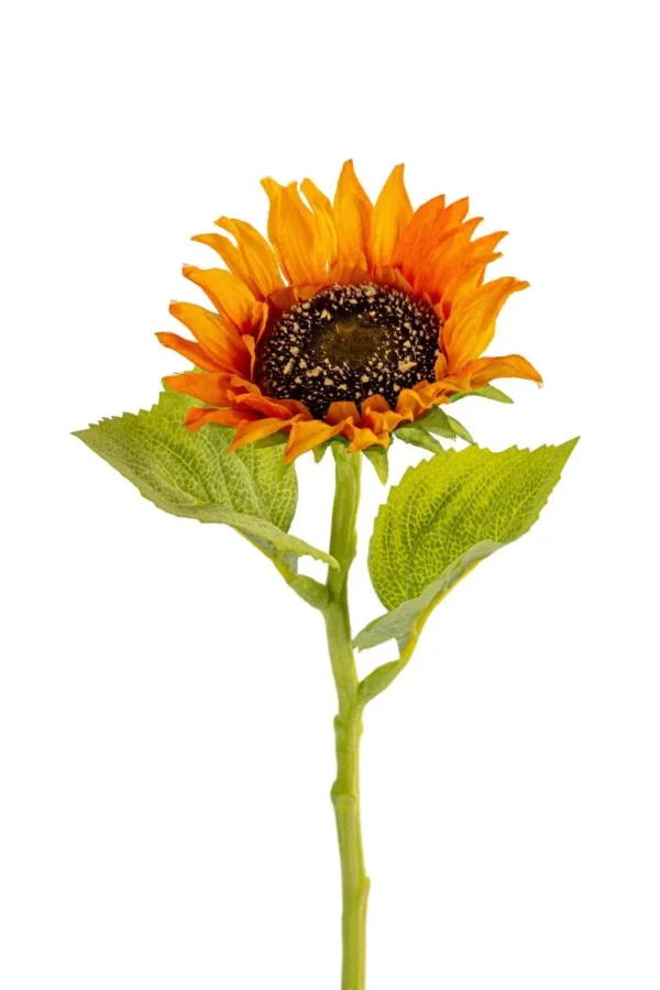 Zonnebloem luxe