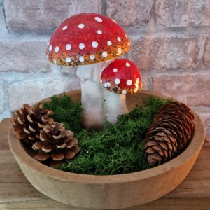 Paddenstoel duo met stippen