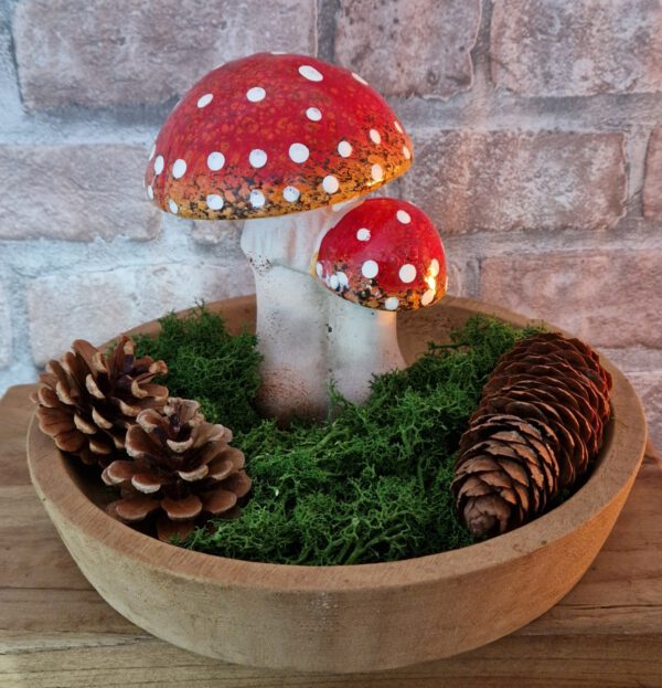Paddenstoel duo met stippen