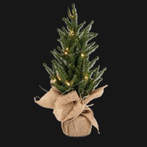 kerstboompje led verlichting 43 cm